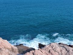 -广东惠东海龟国家级自然保护区