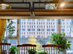 -青青一生美皮肤管理