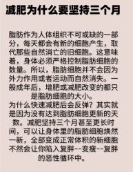 -Fundi张玉珊修身堂·indiba·BTL科技瘦身