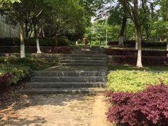 -尚贤河湿地
