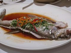 -春天来了(印象新天地店)