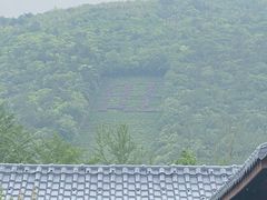 -旺山·浪头人家