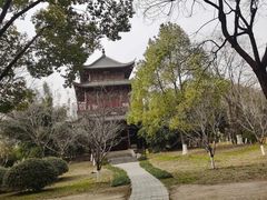 -堤角公园