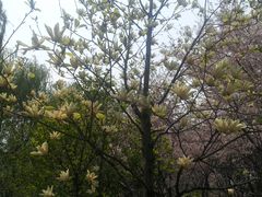 -白塘生态植物园