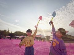 -大塘金香草谷