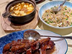 -奥兰多迪士尼动物王国乐园