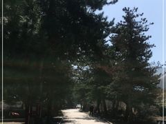 -官滩沟风景区