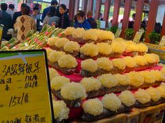 -鲜力达果品批发直销(青山店)