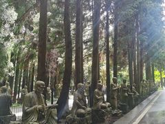 -武陵山森林公园