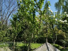 -上海滨江森林公园