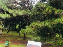 -秦始皇帝陵博物院(兵马俑)