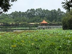 -南国桃园旅游度假区