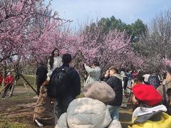 -堤角公园