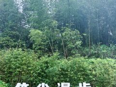 -蜀南竹海景区