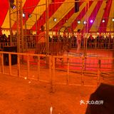 马戏团表演