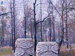 -洋湖国家湿地公园