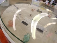 -极光口腔·矫正种植修复(锦江店)