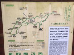 -天目山大树王景区