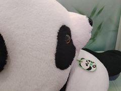 -眉州东坡·熊猫主题餐厅(枫蓝店)