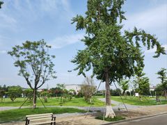 -国际非物质文化遗产博览园