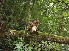 -西岭雪山大飞水景区