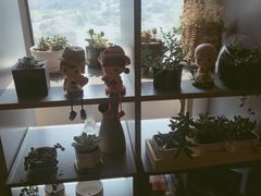 -Whisper studio薇语花艺烘焙工作室