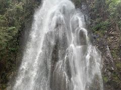 -姑婆山旅游区