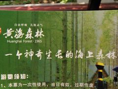 -黄海国家森林公园