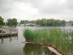 -石家庄市植物园