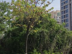 -厦门悦华酒店
