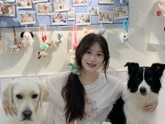 -汪说·狗咖·拼豆·宠物周边DIY(旺城大厦店)