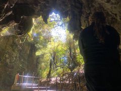 -怀托摩萤火虫洞