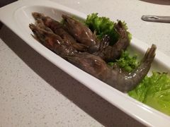 虾-商汤天下