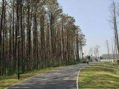 -金银湖国家城市湿地公园