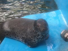 -石家庄市动物园