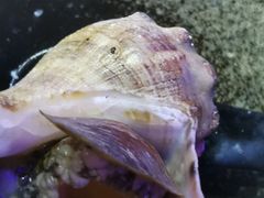 -劲烧-烧烤工坊(保利水城店)