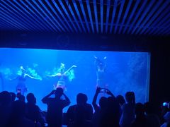-左海海底世界
