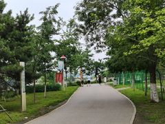 -长白岛森林公园