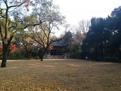 -汇龙潭