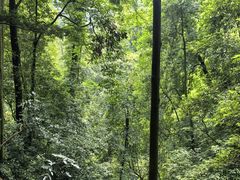 -青城山
