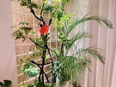 -沐森 •疗愈头疗馆(打浦桥店)