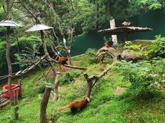 -大连森林动物园