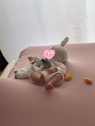 -玛瑞莎·儿童·亲子摄影(越秀店)