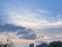 -南翔镇银翔湖公园