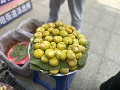 -库车王府