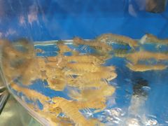 -沿海渔家院蒸汽海鲜·东北菜(东戴河店)