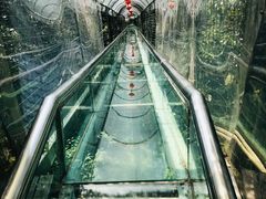 -华西村