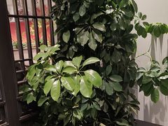 -八大碗·地道东北菜(东陵西路店)