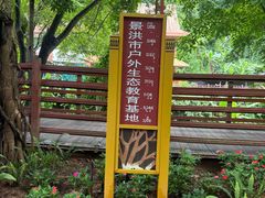 -西双版纳原始森林公园