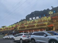 -枇杷园食为鲜火锅(南山店)